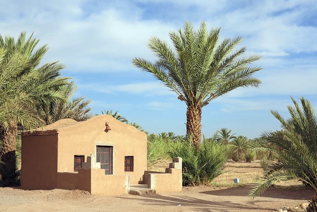 Camping Les Palmeraies in Tagounite, Morocco