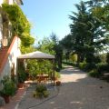 Cantine Cameli