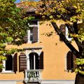 Casa Alpha