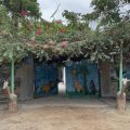 Casa Del Artista