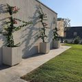 Casa Lunaria