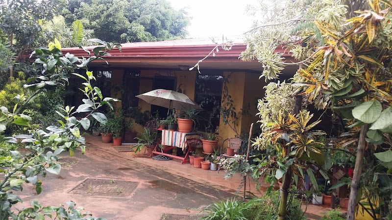 Casa Yayaz - Boutique Hotel & Camping in Grecia, Costa Rica