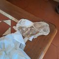 Casa degli Artisti – Casa Vacanze