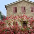 Casale Parvil