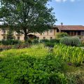Cascina dei Fiori