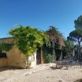 Cefalicchio Farmhouse B&B