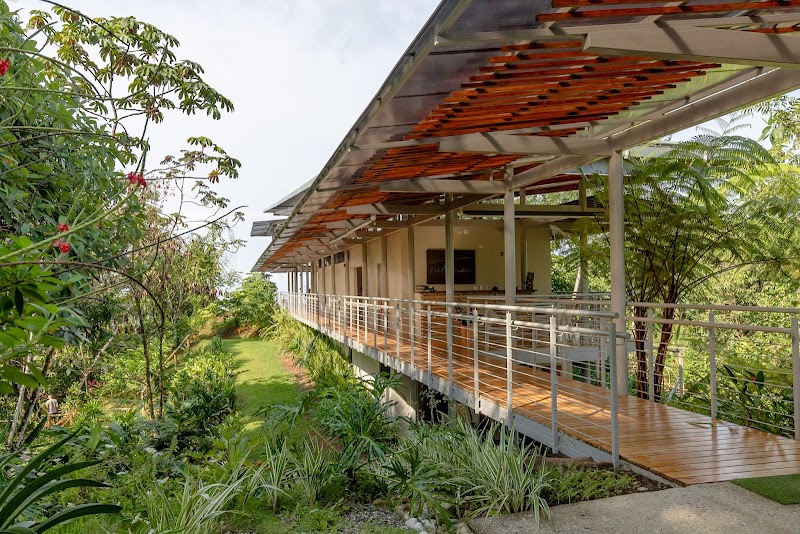 Cielo Lodge in Golfito, Costa Rica