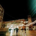 Ciliegio Felice