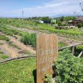 Country House Erba Regina