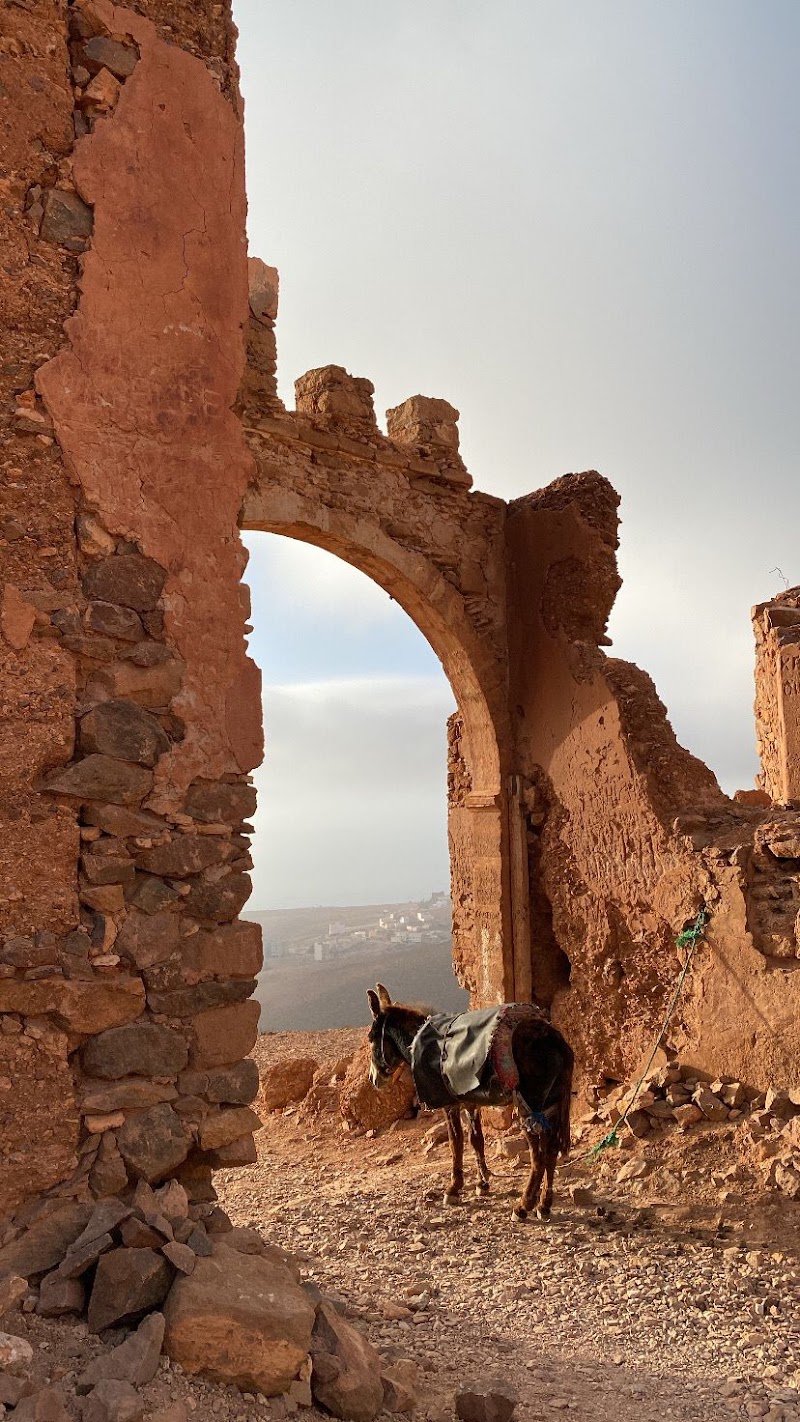 Dania Surf House in Mirleft, Morocco