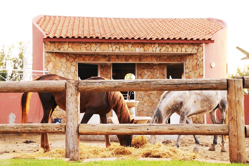 Dar Lyazid in Bou Fekrane, Morocco
