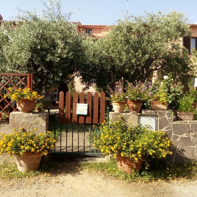 Degli Ulivi da Patty in Capoterra, Italy