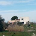 Domus Matilde