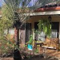 Dos Palmas Studio Apartments