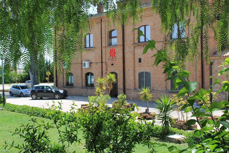FLOS Guest House in Lucera, Italy