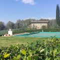 Fattoria Montignana