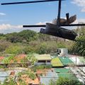 Flor de Katty Hostel Airport
