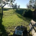 Fontebella