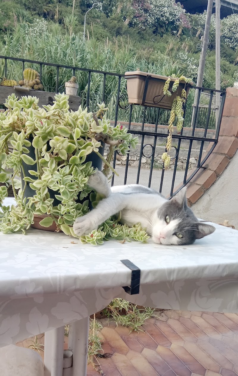 Giardino dei Greci in Giardini, Italy