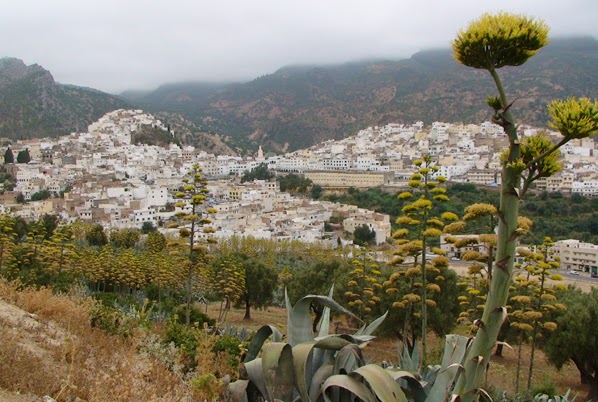 Gite El Menzeh in Moulay Driss Zerhoun, Morocco