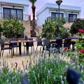 Golden Palms Guest House & Cafe