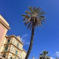 Grand Hotel delle Terme