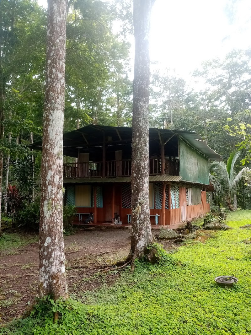 Hostel El Amarillon in San Isidro, Costa Rica