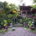 Hostel Plinio