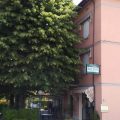 Hotel Alexander
