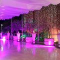 Hotel Cecere