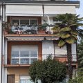 Hotel David