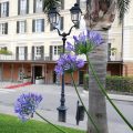Hotel Experia