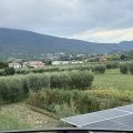 Hotel Il Salice