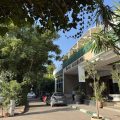 Hotel Jacaranda