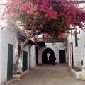Hotel Riad Dalia Tetouan