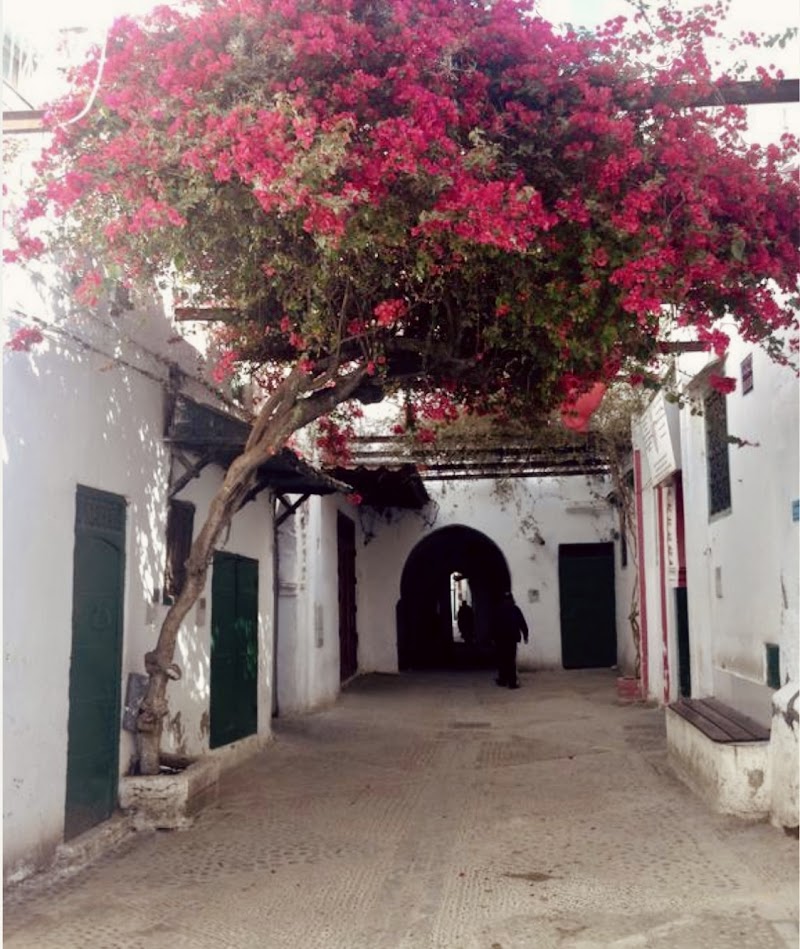 Hotel Riad Dalia Tetouan in Tetouan, Morocco