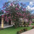 Hotel Villas Vilma