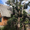 Iguanitas Lodge