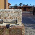 Il Borghetto Farm Stay