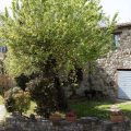 Il Borgo di Torreluca B&B