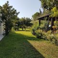 Il Corbezzolo