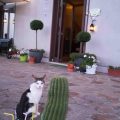 Il Faggio 17