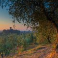 Il Frantoio di Vicopisano