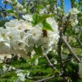 Il Giardino degli Incanti Bed and Breakfast