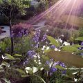 Il Giardino del Chiostro