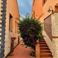 Il Giardino delle Zagare