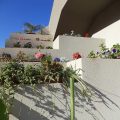 Il Giardino di Enea