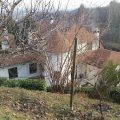 Il Grillo Bianco