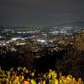Il Podere di Tacito
