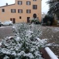 Il Quadrifoglio